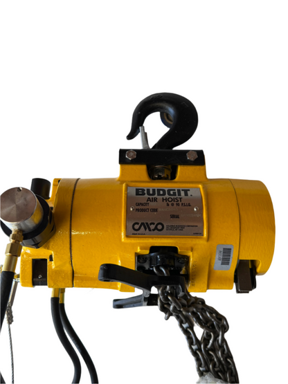 1/2 Ton Air Hoist 20' lift w/ Pendant Control - Made in USA